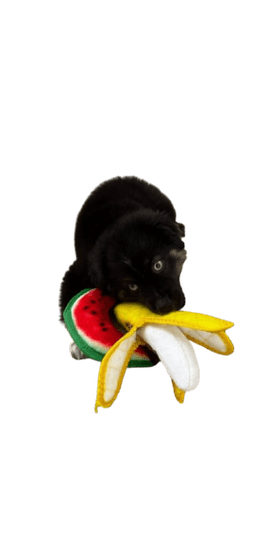 Rolling Nigga with banana